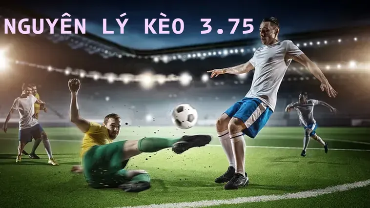 Bí Quyết Chinh Phục Kèo 3.75 Đỉnh Cao Mang Về Lợi Nhuận Khủng Cho Người Chơi