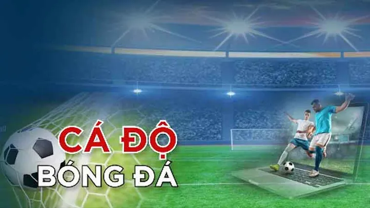 Trang Cá Độ Bóng Đá Uy Tín Là Gì Và Tiêu Chí Đánh Giá Nhà Cái Chất Lượng