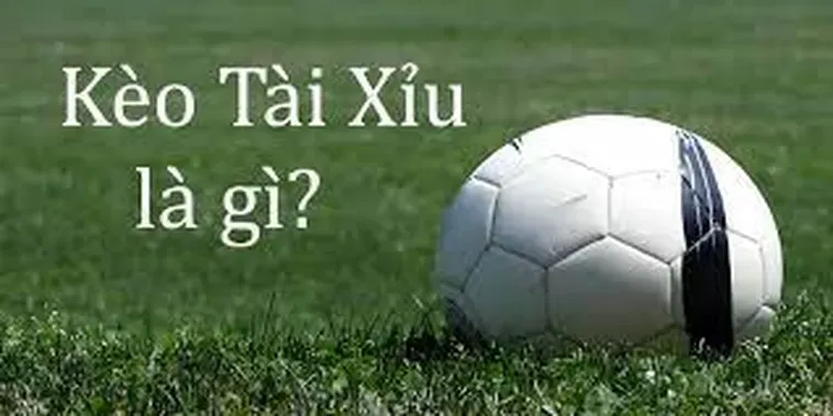 Chiến Thuật Đặt Kèo Tài Xỉu Đỉnh Cao Cho Dân Chơi Chuyên Nghiệp