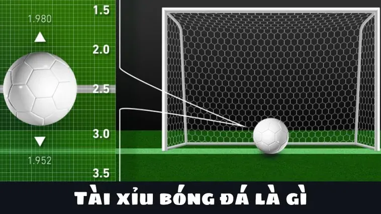Tuyệt Chiêu Đặt Cược Kèo Tài Xỉu Bóng Đá Giúp Bạn Giành Thắng Lợi Vang Dội