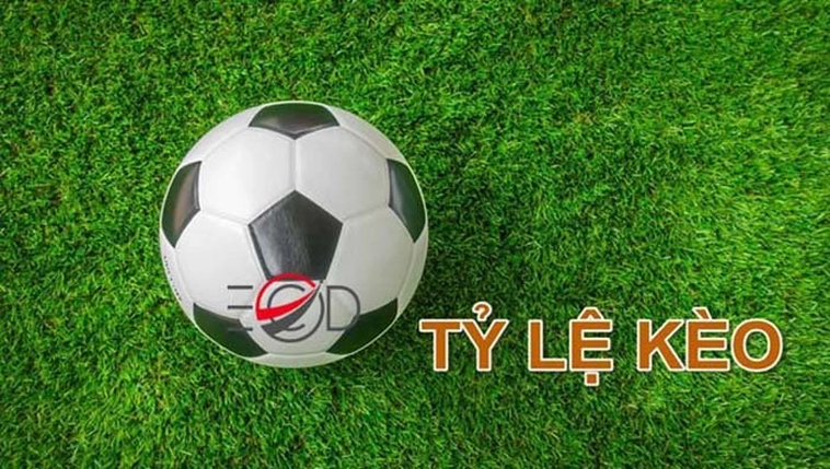 Hệ thống tỷ lệ kèo nhà cái tại đây luôn được cập nhật chuẩn và nhanh nhất. Anh em đừng quên truy cập hàng ngày để nắm bắt các thông tin nóng hổi mỗi ngày nhé!